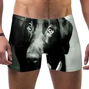 [VBFOFBV] Men's Printed Jammer Swimsuit Swim Shorts, American Statue and Flag Pattern Vintage