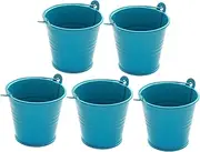 WeiLaiKeQi 5 Pack of Small Metal Buckets for Garden and Event Decor Mini Containers, Blue, as described