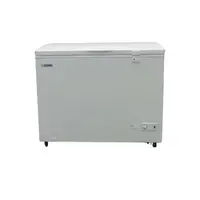 在飛比找PChome商店街優惠-至鴻 亞規GEMA冷凍櫃 掀蓋式 冷凍櫃 日本品質規範商品 