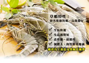 【海鮮主義】冷凍草蝦(250g/盒;一盒8隻) (2.9折)