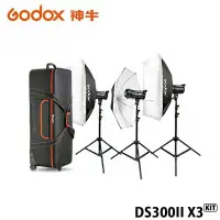 在飛比找Yahoo!奇摩拍賣優惠-【EC數位】GODOX 神牛 DS300II X3 KIT 