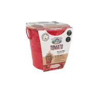 Mr Fothergill's Boutique Gardens Tomato Grow Kit
