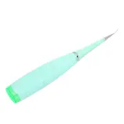 Electric Dental Calculus Remover Plaque Tartar Cleaner Teeth Cleaning Tool F ADS
