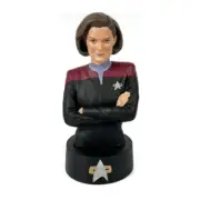 NIB Star Trek Voyger Captain Janeway Busts Edition 05 Eaglemoss Hero Collector