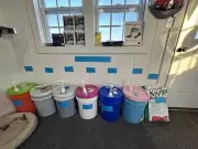 laundry detergent liquid