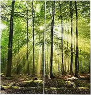 Forest Curtains, Trees Sunlight Shower Curtain Wild Natural Landscape Trees Scenery Window Drapes Living Room Bedroom Decor Printing Shading Curtains(150 * 166cm)