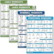4 Pack - Cable Machine Workout Posters Volume 1 & 2 + Dumbbell Exercises + Stretching Exercises (LAMINATED, 18" x 24")