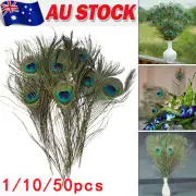 1/10/50 pcs Real Natural Peacock Tail Eyes Feathers new