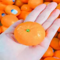 在飛比找博客來優惠-【水果達人】美國無籽砂糖橘2盒(4台斤±10%/盒)