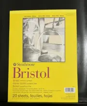 Strathmore Bristol 300 Series Art Paper (2 Pack) 9"x12" 20 Sheets Per Pack