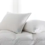 Scandia Home Copenhagen Soft Down Pillow, Standard