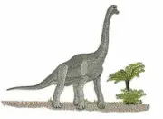 Dinosaurs [Brachiosaurus] { Embroidered Iron on/Sew Patch 6.85"5"]