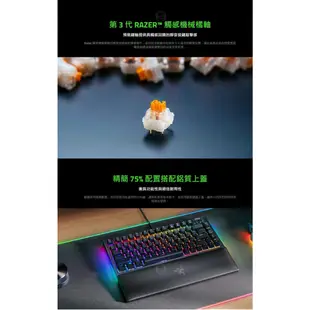 Razer 雷蛇 BlackWidow V4 75% 黑寡婦V4 黑色 白色 熱插拔機械鍵盤 橘軸 中文 英文