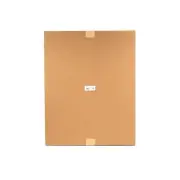 Briggs & Stratton AM9873A Sign