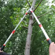 Gardening Telescopic Anvil Tree Lopper Garden Pruning Pruner Hedge Branch Cutter