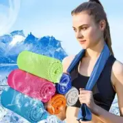 Microfiber Quick Dry Fitness Cool Towel Mini Quick Drying Towel Sports