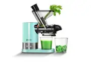 Juicer Machines, Small Cold Press Juicer for Single Serve, Slow Masticating J...