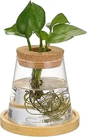 Milisten Propagation Vase Compact Glass Hydroponic Planter for Indoor Plants Stylish Desktop Plant Holder for Space Saving Minimalist Design for Easy Maintenance and Versatile Use