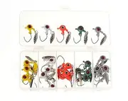 25Pcs Jig Heads Hooks Kit Freshwater Fishing Lures with Imitation Fish Eye Painted Fishing Jig Hooks for Bass Trout Crappie 0.14oz/0.08oz Set B 2.2g
