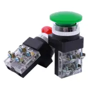 Red Green AC 250V 6A DPST Momentary Mushroom Head Push Button Switch J2K9
