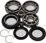 All Balls Differential Bearing and Seal Kit for 1986-1987 Honda TRX350 ATV Rear