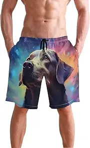 [XYMZR] Labrador Portrait Galaxy Men's Swim Trunks Quick-Dry Bathing Suit Swimming Board Shorts S