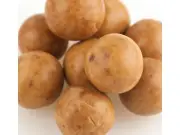 Double Dipped Peanut Butter Malt Balls Candy Candies 2 lbs Free Shipping