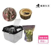 在飛比找momo購物網優惠-【Petvibe寵趣生活】甲蟲獨角仙飼養箱大全配30入果凍套