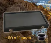 Glass Top Extra Large Nugget Display Case + 50 x 1" Pods