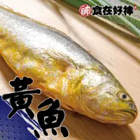 在飛比找momo購物網優惠-年節限定鮮凍帝王大黃魚金銀財寶富貴組