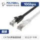 POLYWELL 寶利威爾 CAT6A扁線【30公分】高速網路線 RJ45 福祿克認證 高速網路傳輸扁線 台灣現貨