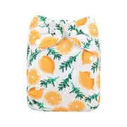 Alva Baby Lemon Thyme Print Reusable Cloth Nappy