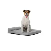 Diggs Bolstr Grey Dog Bed