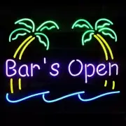 Bar's Open Palm Tree 17"x14" Neon Sign Lamp Light Beer With Dimmer Business VY