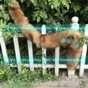 120cm 47" Long Real Fox Fur Tail Keychain Bag Charm Cosplay Tools Furry Pendant