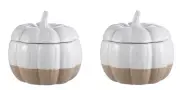 Better Homes & Gardens Exposed Clay Pumpkin Stoneware Cookie Jar White X 2