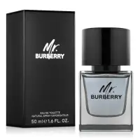 在飛比找momo購物網優惠-【BURBERRY 巴寶莉】Mr. Burberry 男性淡