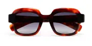 Kaleos Lynn C3 Men's Sunglasses Tortoiseshell Size 50