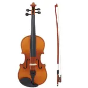4/4 Violin Set Classical Music Antique Wooden Instrument Bow Adult New
