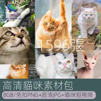在飛比找蝦皮購物優惠-【素材】高清圖庫4K可愛小貓咪動物寵物圖片PNG免扣雜志畫冊