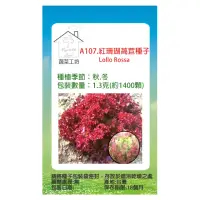 在飛比找momo購物網優惠-【蔬菜工坊】A107.紅珊瑚萵苣種子(Lollo Rossa