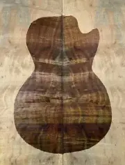 Figure Electric Guitar Top Worm-hole Golden Phoebe Wood Burl Set Luthier Supply