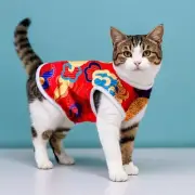Light Thin Fashion Clothes Red Dragon Robe Vest for Cats Small Medium Dogs Pets