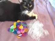 100 EMPTY 1.1" VENDING CAPSULES (Assorted Color Tops)