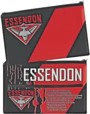 Essendon Song AFL Pencil Case AFL Team Logo Official Sporting Stationary