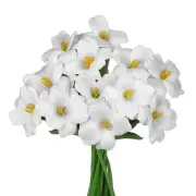 12pcs 16" Fully Bloomed Tulip Artificial Flowers Bouquet Fake Faux Flowers fo...