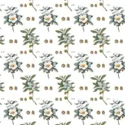NEW 24x30" Floral Roll Of Gift Wrapping Paper, Pre-cut Sheets, Made in USA