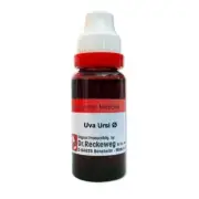 5 Pack Dr Reckeweg Uva Ursi Mother Tincture Q 20ml