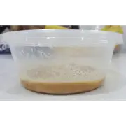 Microworm Ready 2 Go For Fish Shrimp Snail Tank Aquarium