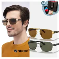 在飛比找momo購物網優惠-【RayBan 雷朋】雙槓偏光太陽眼鏡(RB3663-004